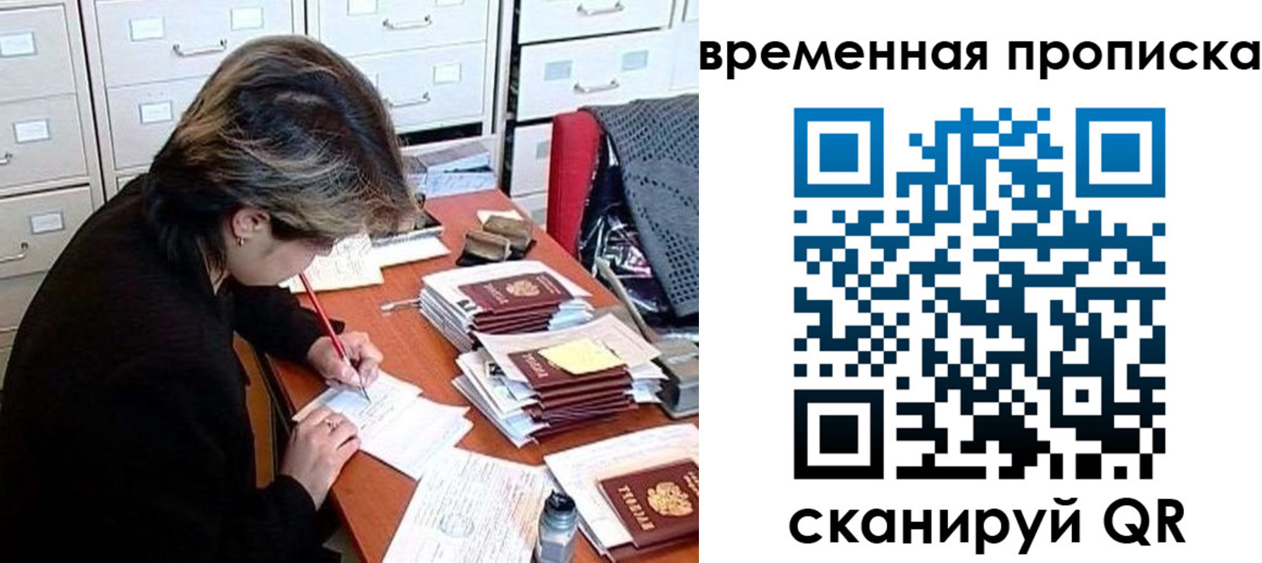 прописка для школы в Щёлково