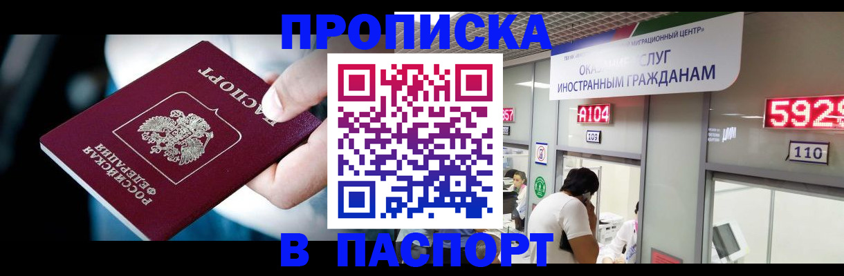 временная прописка в Щёлково